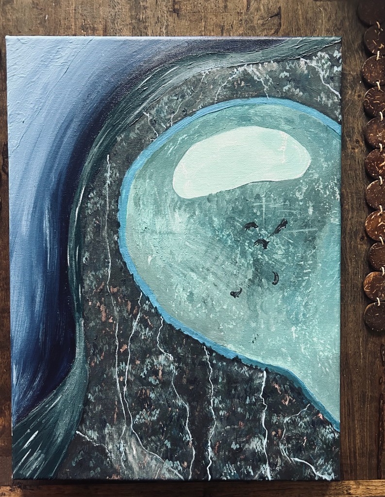 Aerial view of a teal lagoon and dark forest